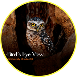 Link to Book Bird's Eye View written by N. Shiv Kumar