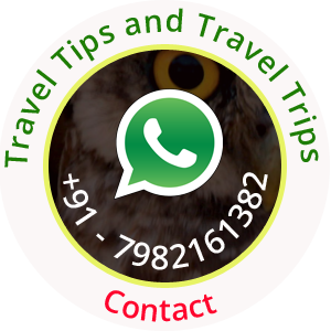 Get travel tips and Travel Trips by experts