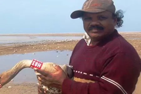 Chilika Lake - wings at work and villagers on vigil