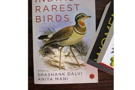 Winged wonders brought to life in print: Book review: The Search for India’s Rarest Birds