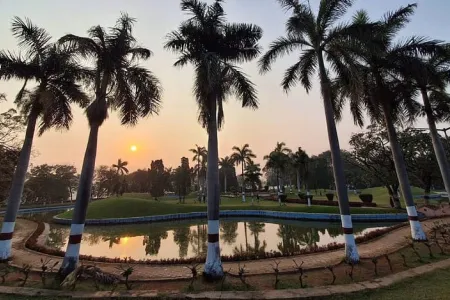 Botanical beats, avian anthems: Symphony of Nature at Hyderabad’s Sanjeevaiah Park