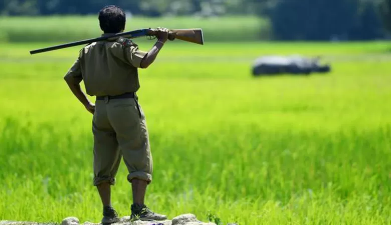 They are male, rich, politically connected, celebrities. And occasionally, they hunt wildlife