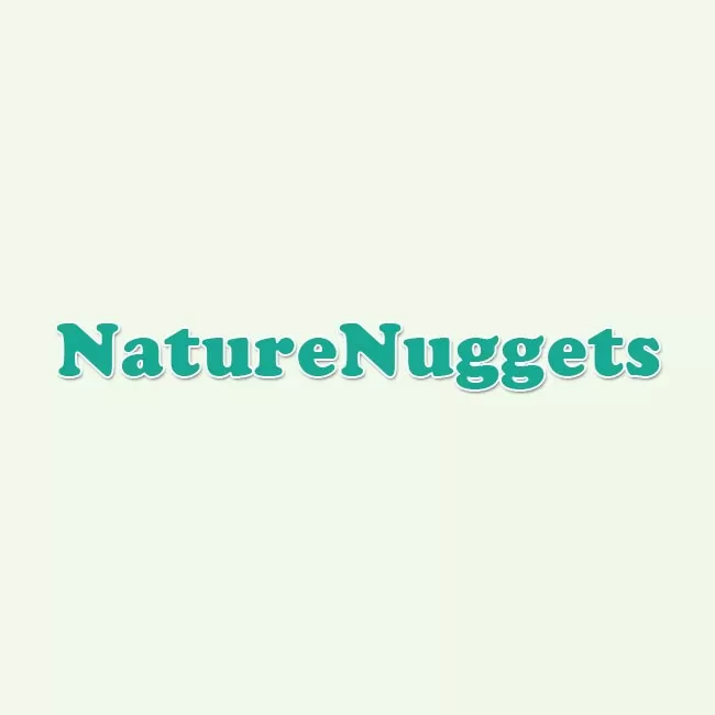 NatureNuggets.org Placeholder Image