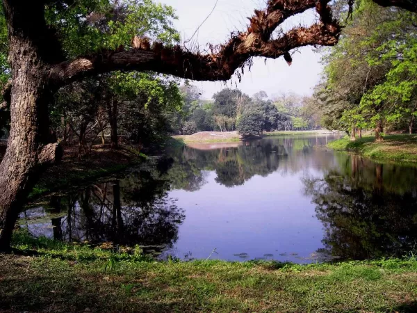 Lake View